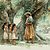 Women known as “goddesses of hula dancing”