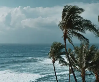 ハワイの風の女神を感じさせる優しい風と自然の風景