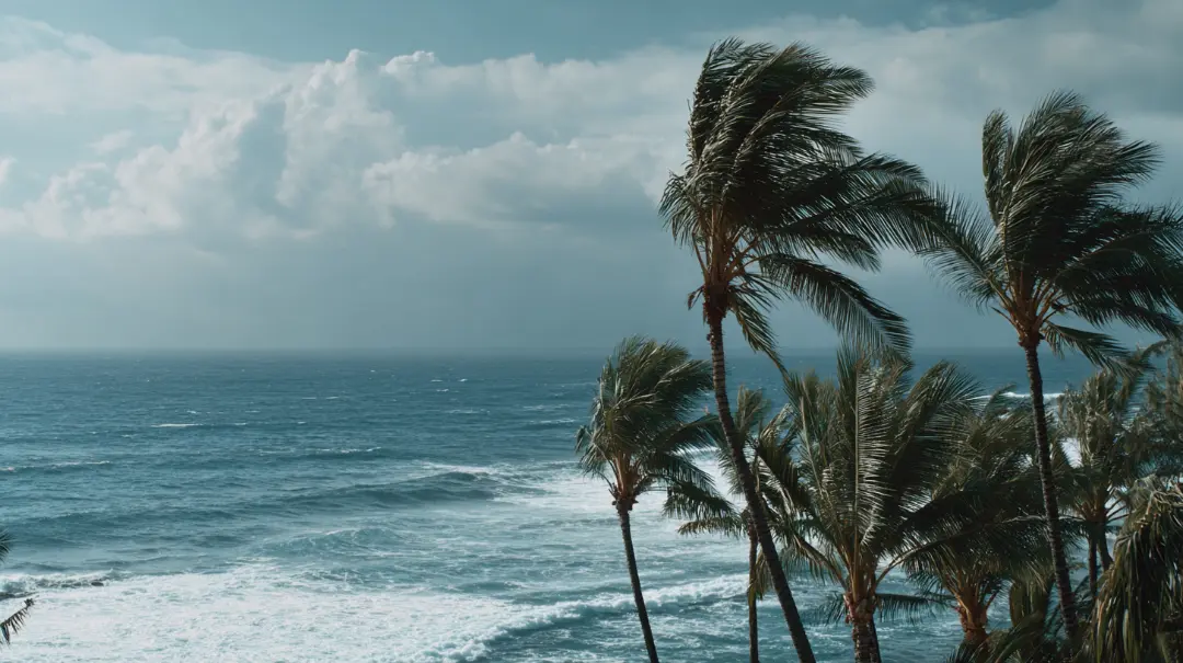 ハワイの風の女神を感じさせる優しい風と自然の風景