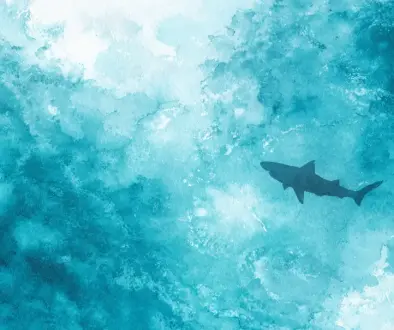 ハワイの守り神アウマクアとして語られるサメの神秘的な存在