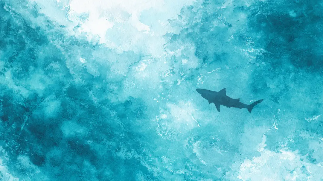 ハワイの守り神アウマクアとして語られるサメの神秘的な存在